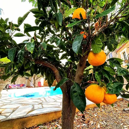 Napoleon Piscine&jacuzzi