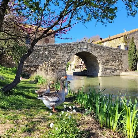 Napoleon Piscine&jacuzzi * Le Somail