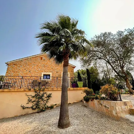 Napoleon Piscine&jacuzzi *