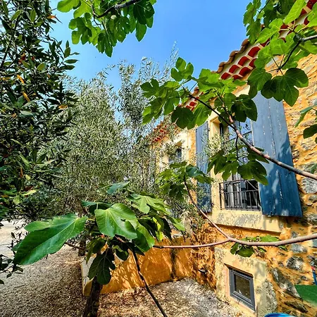 Napoleon Piscine&jacuzzi Le Somail