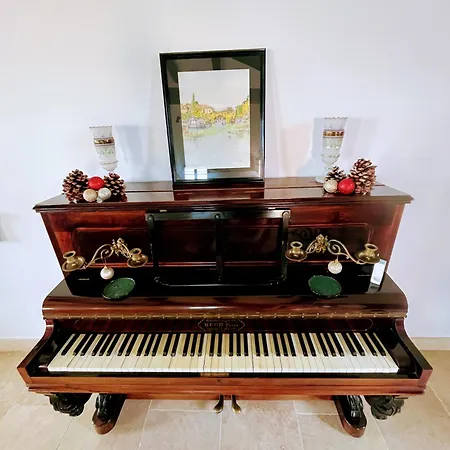 Napoleon Piscine&jacuzzi *