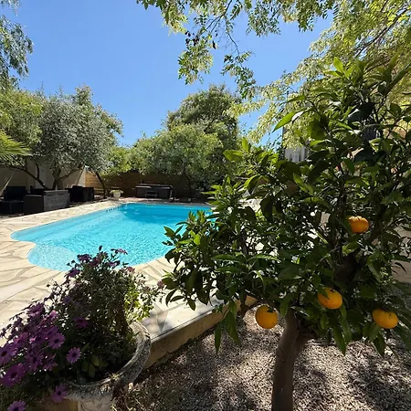 Napoleon Piscine&jacuzzi Le Somail