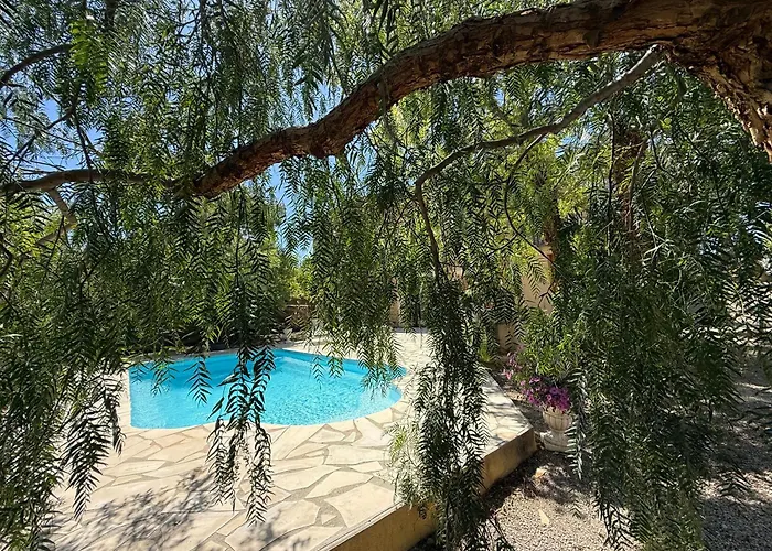 Napoleon Piscine&jacuzzi Villa Le Somail
